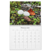 Champignons sauvages de l'Alaska - Calendrier moye (Feb 2026)