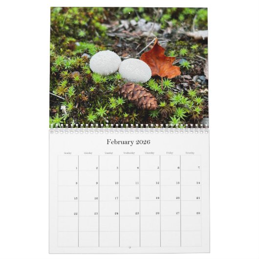Champignons sauvages de l'Alaska - Calendrier moye (Feb 2026)