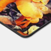 Champignons sauvages d'orange pâle Gros plan Perso (Coin)