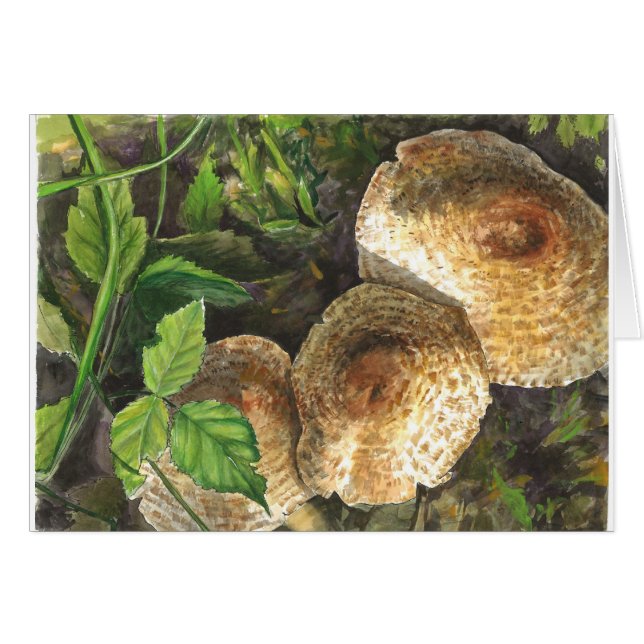 Champignons toujours attirants pour les yeux de vo (Devant horizontal)