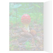 Champignons vibrants - Carte d'art de 5 po x 7 po (Intérieur (Gauche))