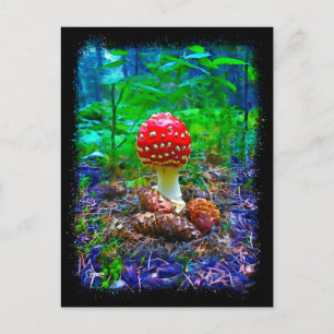 Champignons vibrants - Carte postale