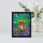 Champignons vibrants - Carte postale (Debout devant)