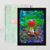 Champignons vibrants - Carte postale (Devant / Derrière)