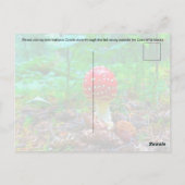 Champignons vibrants - Carte postale (Dos)