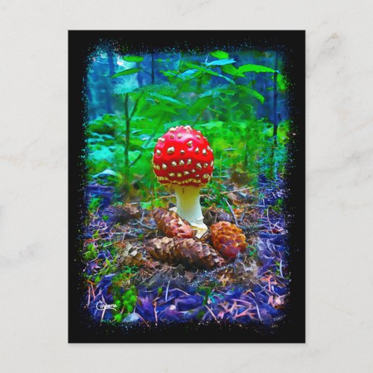 Champignons vibrants - Carte postale (Devant)