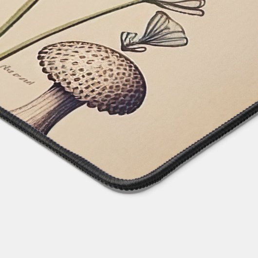 Champignons vintages (Coin)