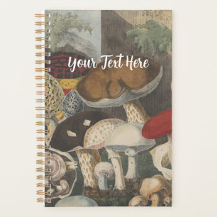Champignons vintages d'illustration botanique