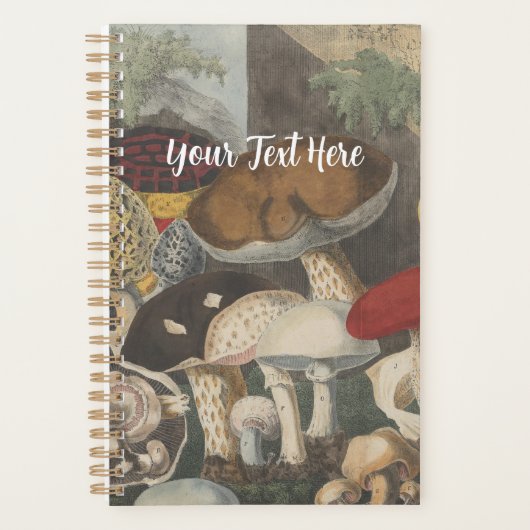Champignons vintages d'illustration botanique (Devant)