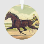 Champion boudeur SUPÉRIEUR (dos)