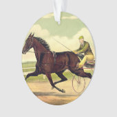 Champion boudeur SUPÉRIEUR (devant)