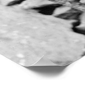 Champion French Bulldog, 1920 Poster (Hoek)