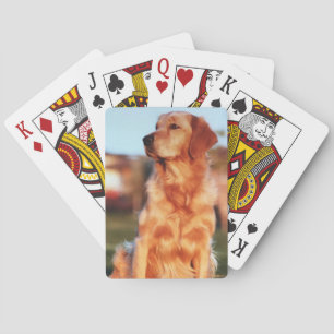 Champion Golden Retriever Amazing Pet Dog Pokerkaarten