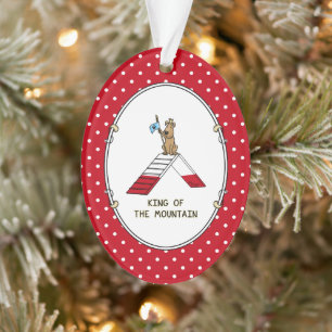 Champion koning van de berghondenbehendigheid grap ornament