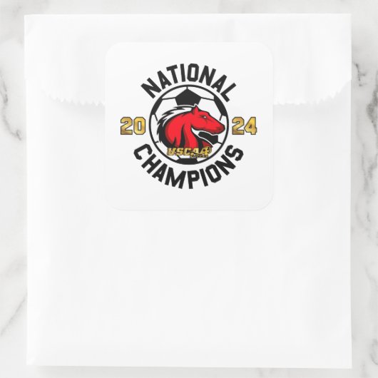 Champions nationaux 2024 - Sticker 2 (Sac)