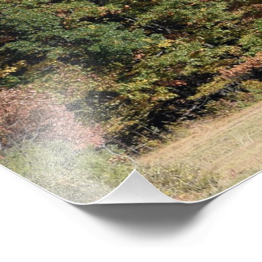 ChamPlameer Foto Afdruk (Hoek)