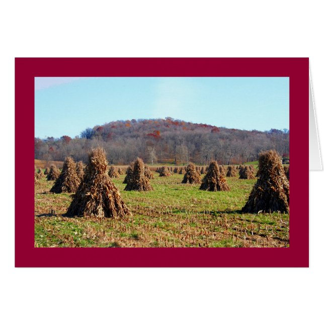 Champs Amish (Devant horizontal)