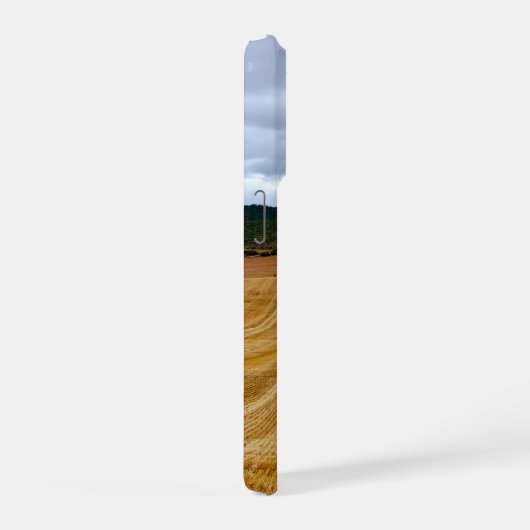 Champs de blé (Côté droit)