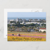 Champs de fleurs de Carlsbad carte postale (Devant / Derrière)