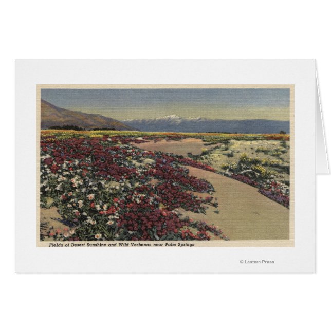 Champs de soleil du désert et verbenas sauvages (Devant horizontal)