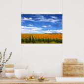 Champs de tournesol - Poster (Cuisine)