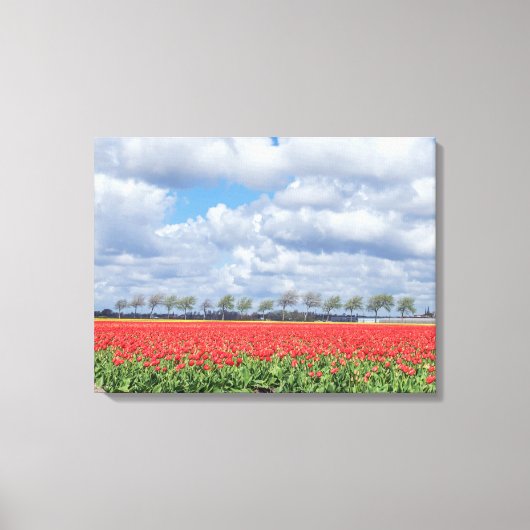 Champs de tulipe rouges, vue impression de toile (Recto)