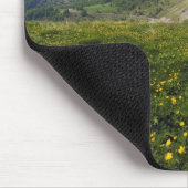 Champs Pass Spring French Riviera Hinterland Muismat (Hoek)