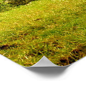 Champs - Poster (Coin)