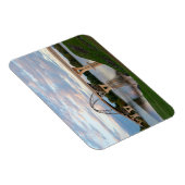 Champure Bridge Magneet (Rechterzijde)