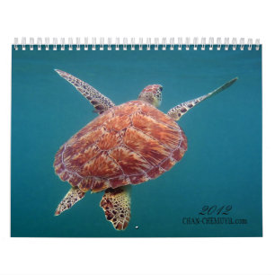 Chan Chemuyil Underwater Calendar Kalender