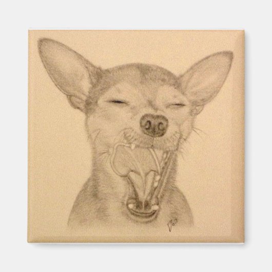 Chance Chihuahua Magnet ~ Puppy Yawn (Devant)