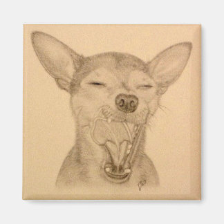 Chance de Chihuahua Magnet ~ Puppy Yawn Magneet