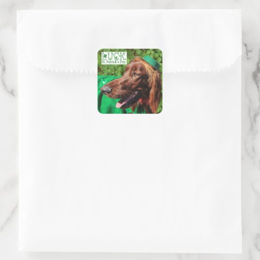 Chance Irish Setter Stickers St. Patrick's Day (Sac)