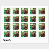 Chance Irish Setter Stickers St. Patrick's Day (Feuille)