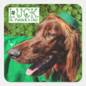 Chance Irish Setter Stickers St. Patrick's Day (Devant)