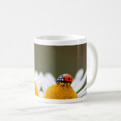 Chance tasse à café matinale ! (Devant droit)