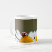 Chance tasse à café matinale ! (Devant gauche)