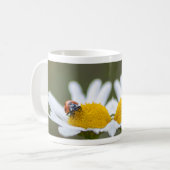 Chance tasse à café matinale ! (Devant gauche)