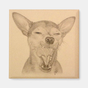 Chance the Chihuahua Magnet ~ Puppy Yawn Magneet
