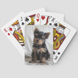 Chanceux les cartes de jeu japonaises de Yorkie