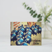 Chanchitos, Pomaïre, Chili Briefkaart (Staand voorkant)