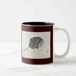 Chandail à cheval Crab Mug