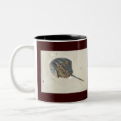 Chandail à cheval Crab Mug (Gauche)