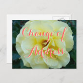 Changement d'adresse carte postale avec photo de f (Devant / Derrière)