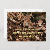 Changement d'adresse Chipmunk Carte postale (Devant / Derrière)