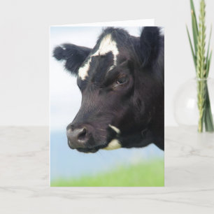 Changement d'adresse de vache la carte