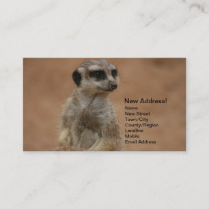 Changement d'adresse des cartes - Meerkats
