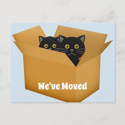 Changement d'adresse la carte postale de chats (Devant)
