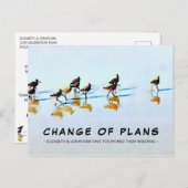 Changement de plan Sandpipers sur la carte postale (Devant / Derrière)