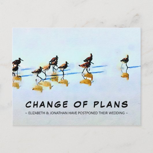 Changement de plan Sandpipers sur la carte postale (Devant)